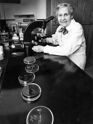 astrid fagraeus  encuentra a los anticuerpos en el interior de las celulas plasmaticas