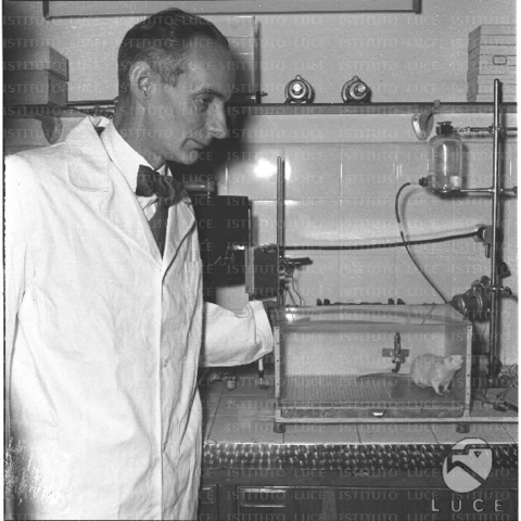 daniel bovet premio nobel por antihistamonicos para el tratamiento de la alergia