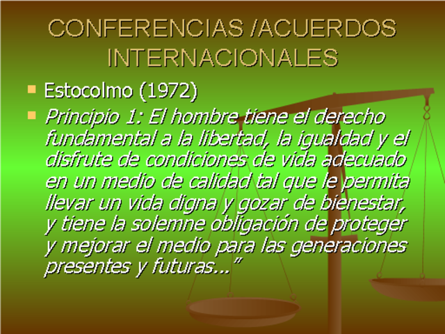 Declaración de la Conferencia - Principio 1