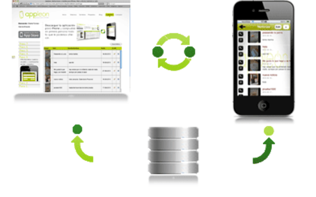 Tercera dimensión; Distribución/ Integración