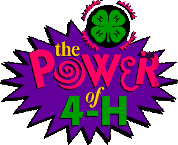 Joining Lonesome Valley Wranglers 4-H Club