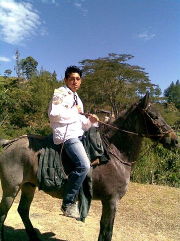 Aprendiendo a montar caballo