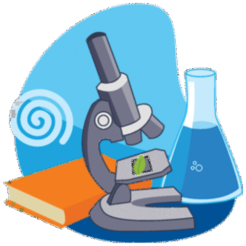 año de la Ciencia y la tecnología