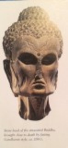 Quest through Suffering