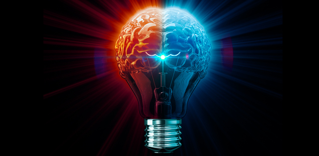 Se contemplaba la idea de crear una red de conocimiento