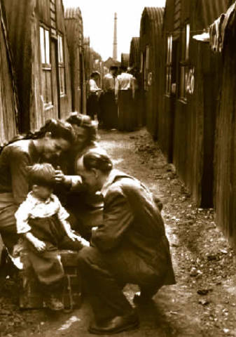 poblacion heterogenea