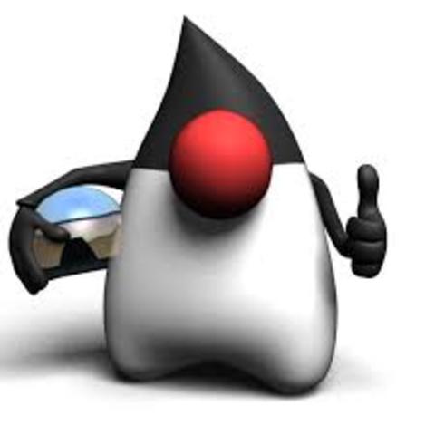 Java 1