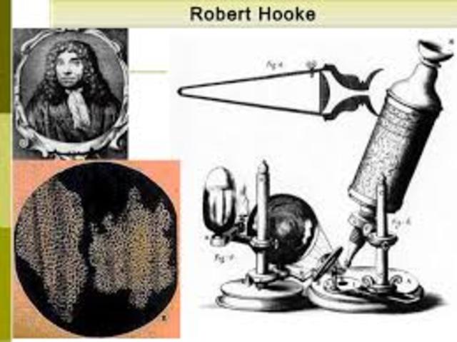 Robert Hooke