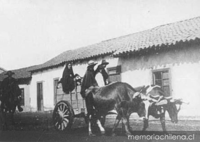 Recientes Migraciones. (nacional)