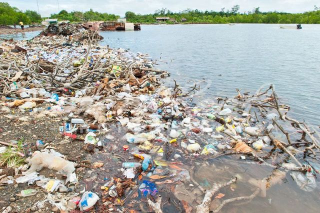 Action Against Ocean Dumping