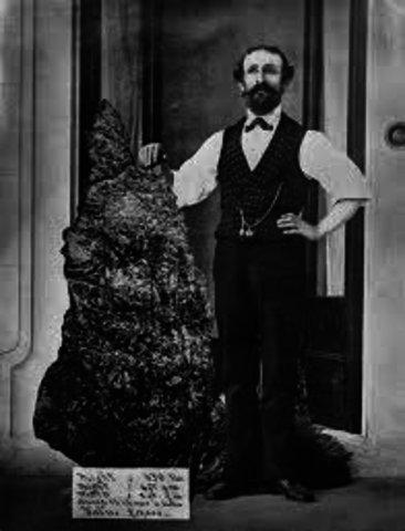 Largest Gold Specimen