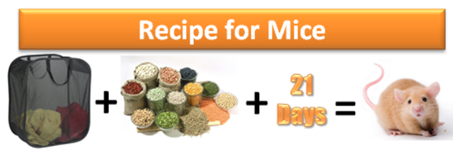 Recipes to "create" Life