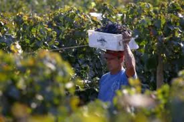 Cambios en la población