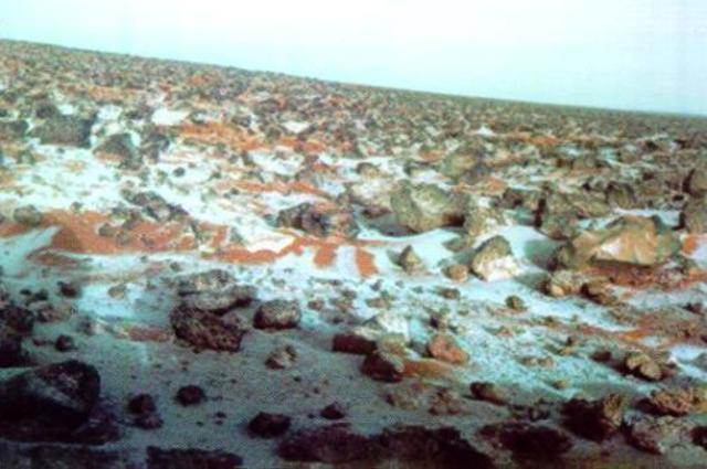 Discover of Frozen Water on Mars