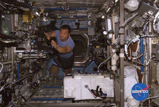 Almost a year in Space