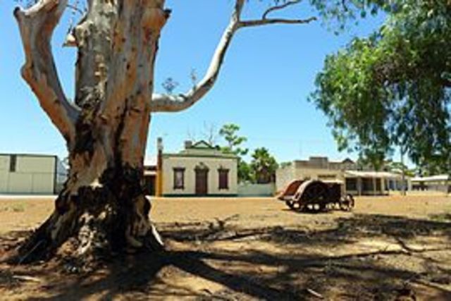 Irene McCormacks birth