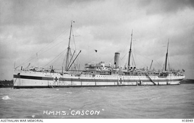 First Hospital Ship reaches Alexandria, Egypt