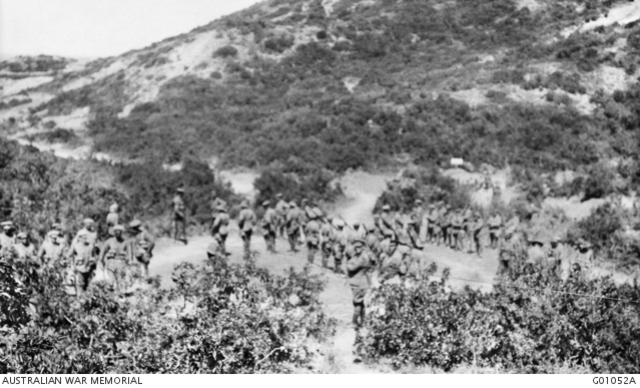 Reinforcements Received