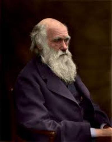 Darwin