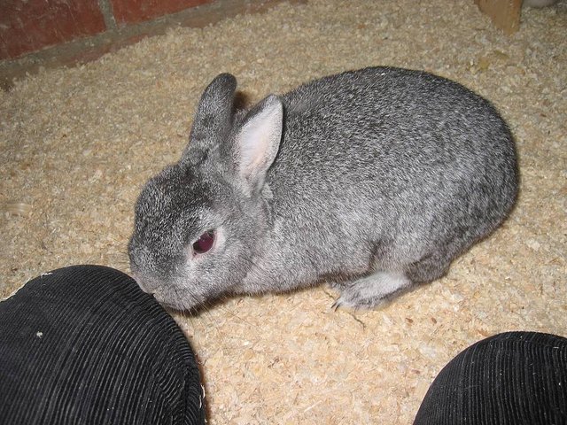 Mi primera responsabilidad