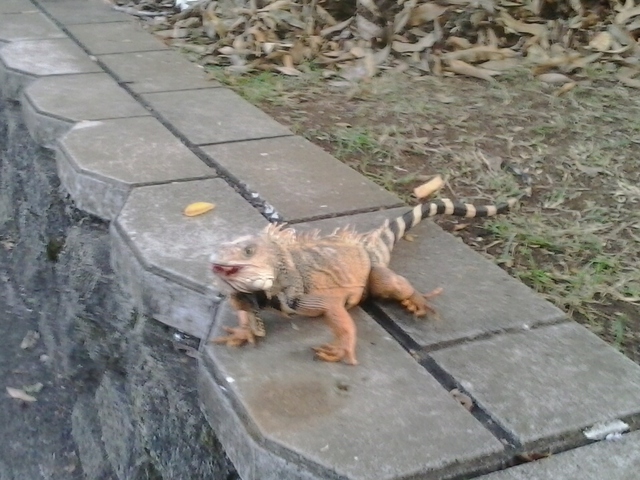 NACIMIENTO DE DANIELA