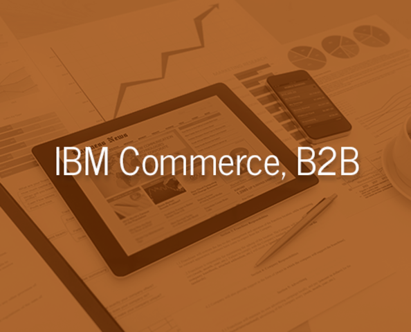 Se realiza la aplicacion B2B por IBM, la cual permitio realizar la primera venta online