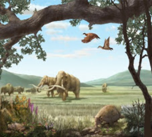 Cenozoic era