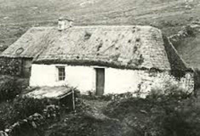 the highland clearance stared