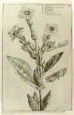 Prussian Government cigar law