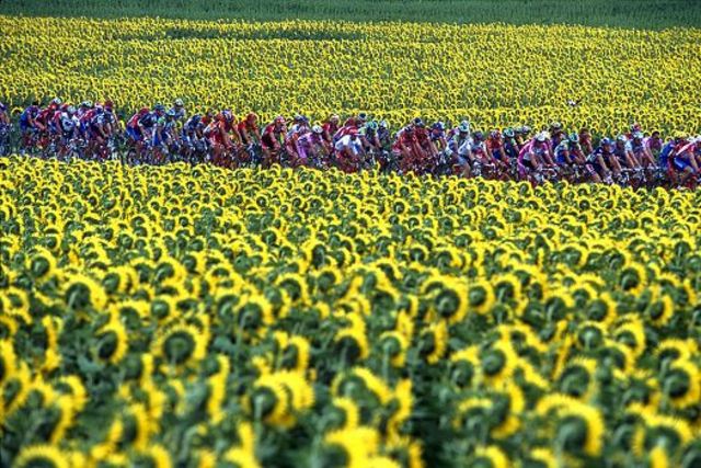 2000 Tour de France