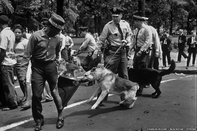 Executive Order 11111