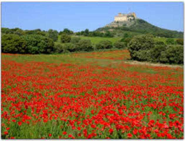 Los guerrilleros visitan por amapola