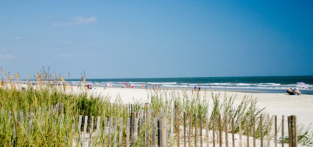 My first trip to the beach!