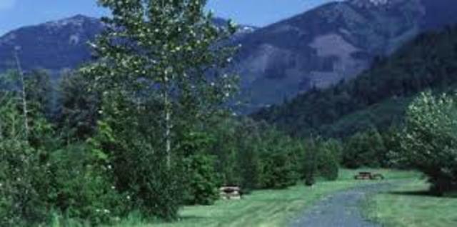 my favorite summer in washinton