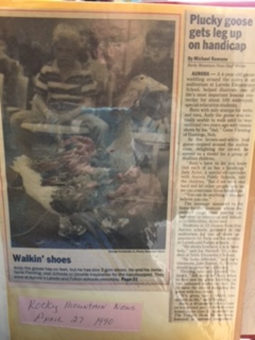 Laredo student learn about what it's like to be handicapped from Andy the goose!