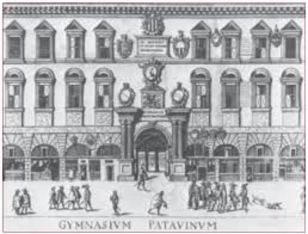 Universidad de Padua (Italia)