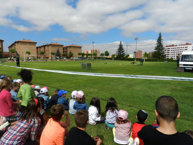 DEL COLEGIO AL CUARTEL