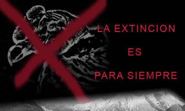 EXTINCION DEL COLEGIO SAN BUENAVENTURA