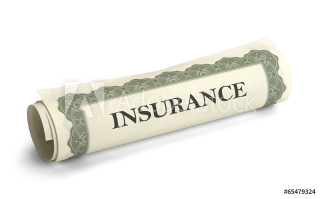 NH Rules for the Education of Children with Disabilities - Amended