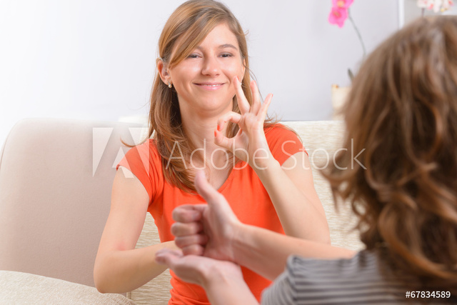 Board of Education of the Hendrick Hudson Central School District v. Rowley