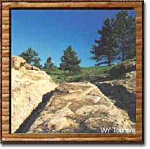 Oregon fever swept the nation