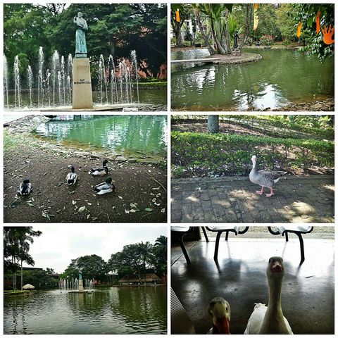 NATURALEZA DENTRO DE LA UNIVERSIDAD.