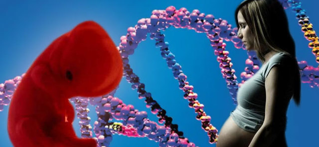 SE TERMINA EL ANALISIS DE LA INFORMACION DE LA SECUENCIA DEL GENOMA HUMANO