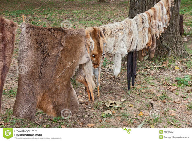 Cuero con pieles de animales