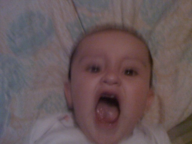 Mis primeros dientes