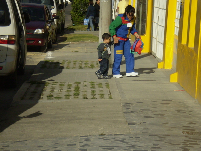 Mi entrada al jardin