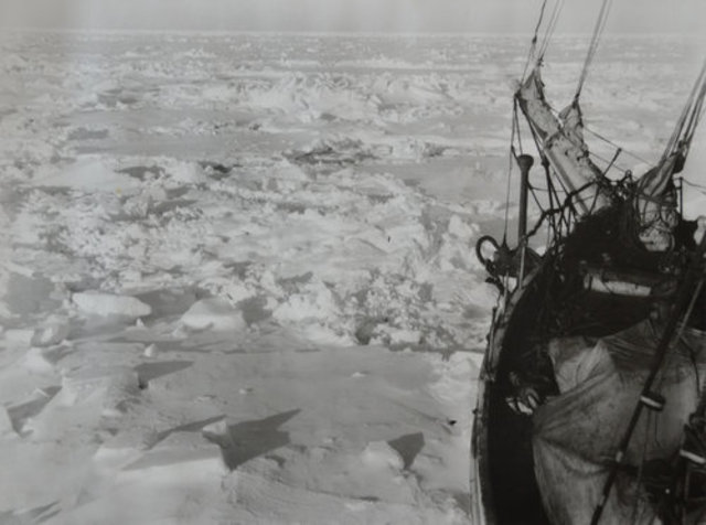 Endurance Enters Pack Ice