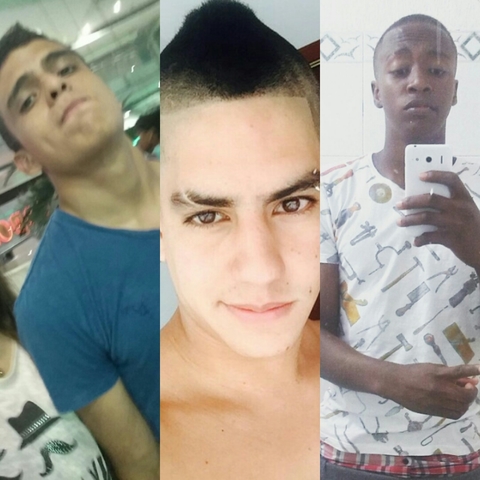 integrantes del grupo de trabajo