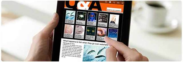 Crean tiendas para moviles