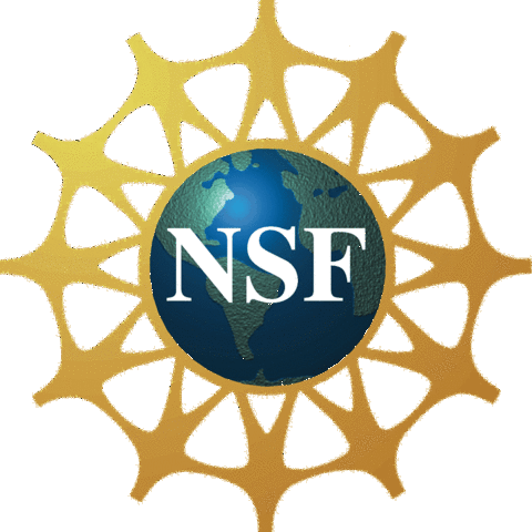 The National Science Foundation